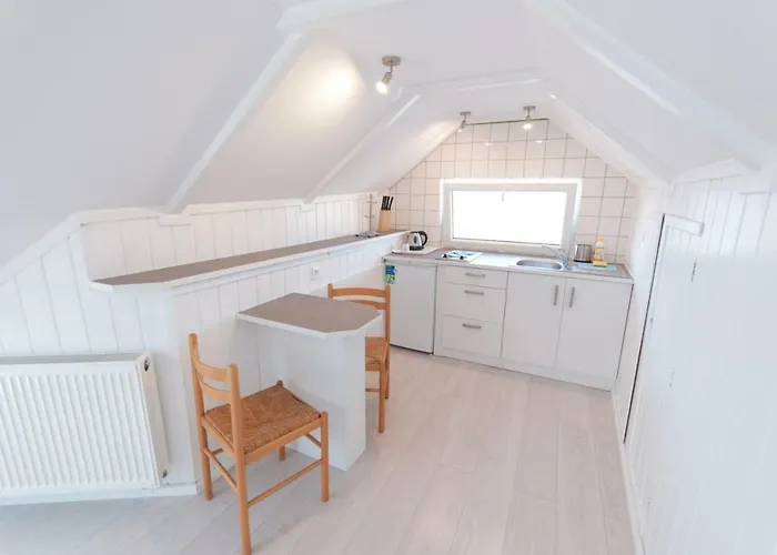 Jojo ホームステイ カルビア